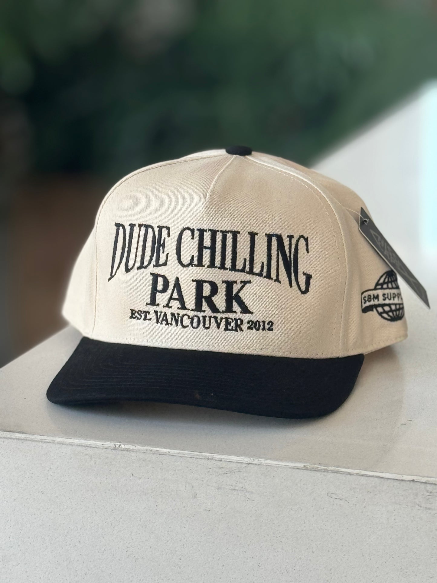 Dude Chilling Park Tourist Snapback