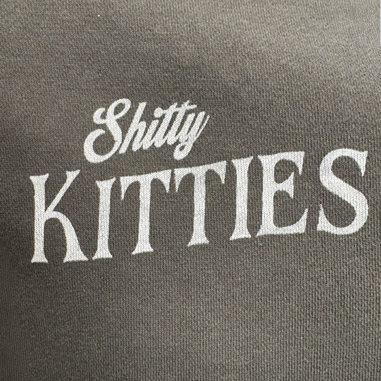Shitty Kitties Hoodie