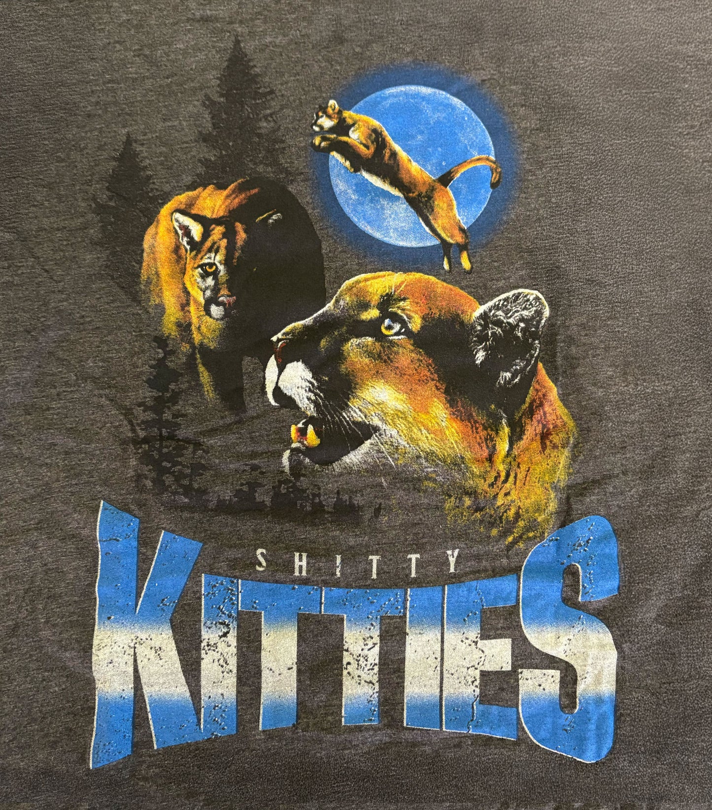 Shitty Kitties Moon Tribute T-Shirt