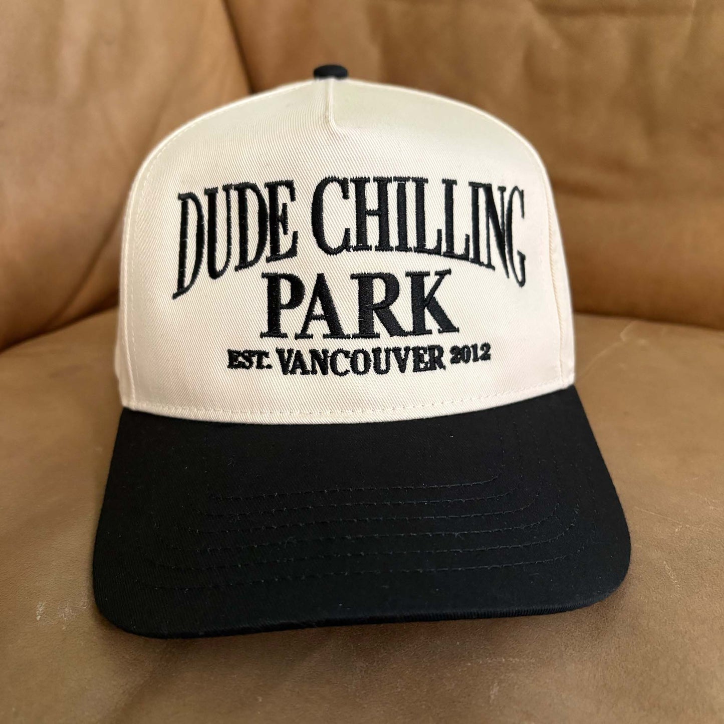 Dude Chilling Park Tourist Snapback