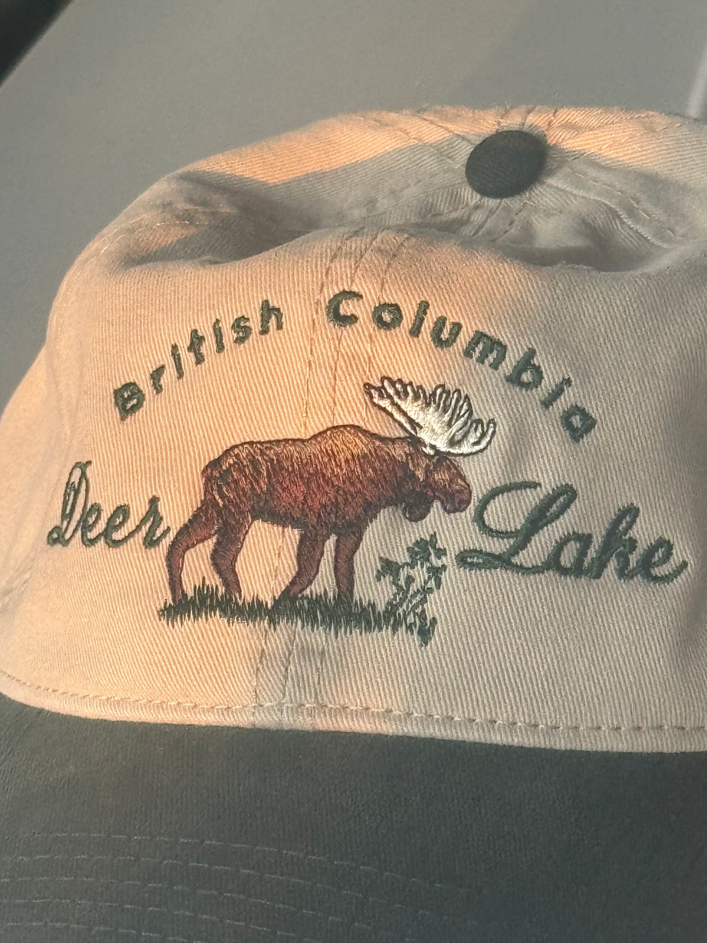 (SOLD OUT) Deer Lake Animal Dad Hat