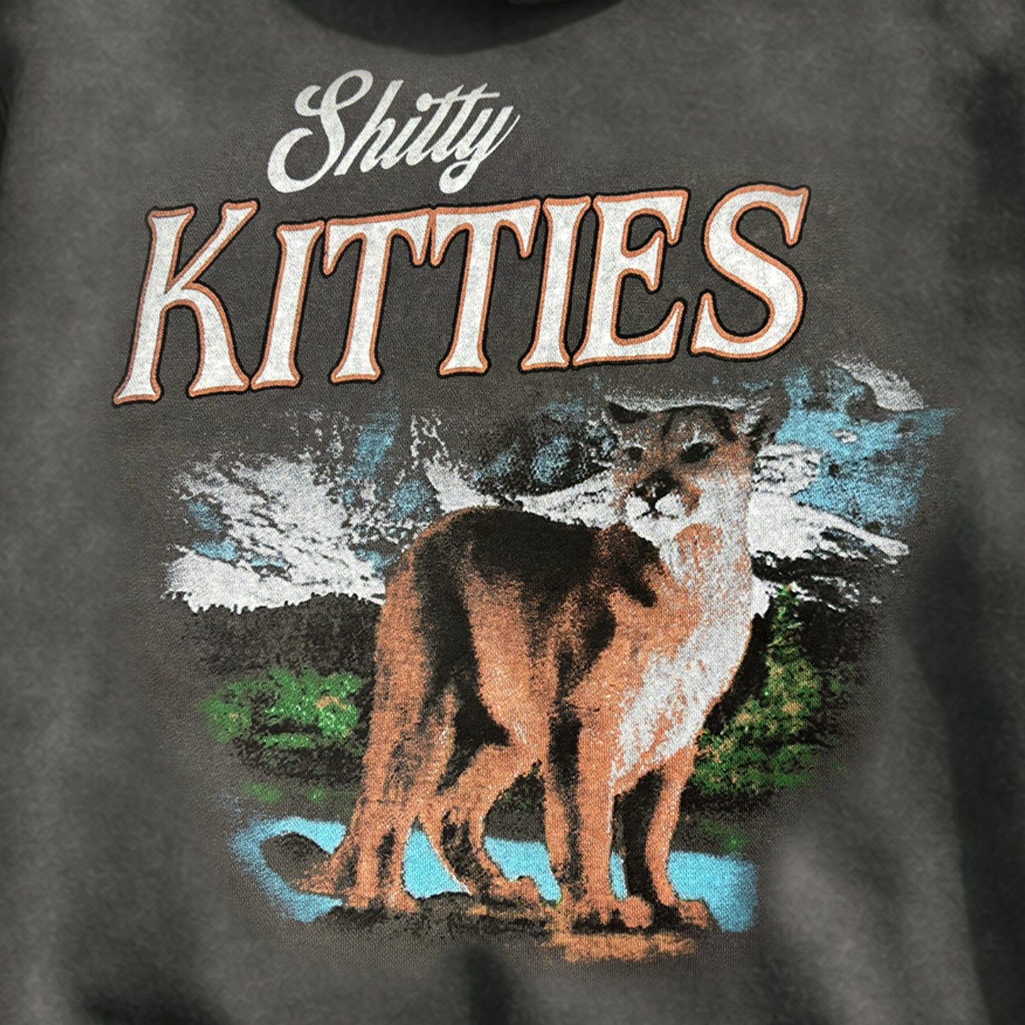 Shitty Kitties Hoodie
