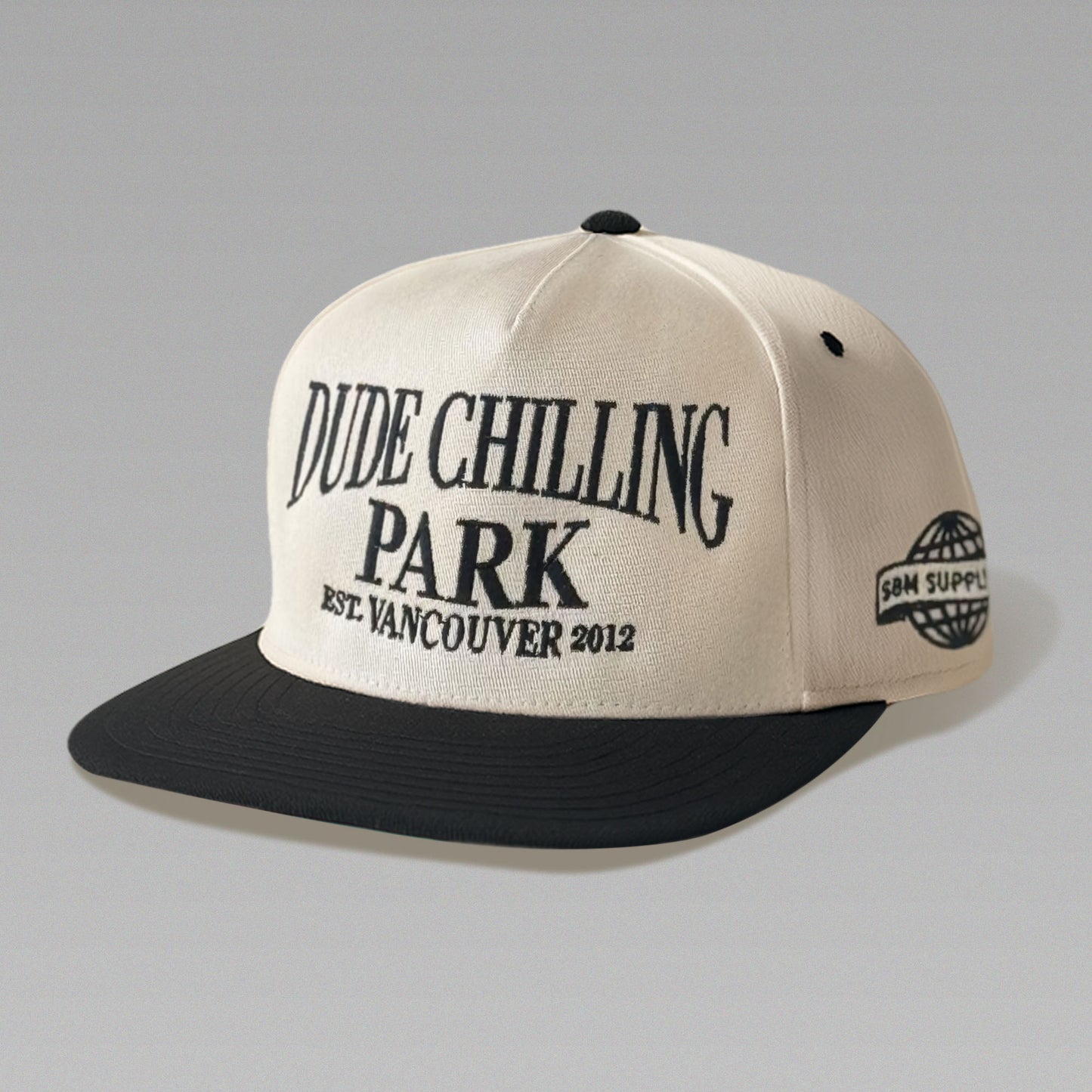 Dude Chilling Park Tourist Snapback
